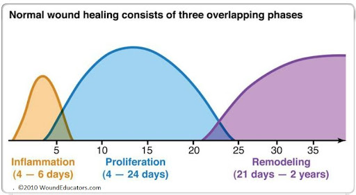 Healig Stages