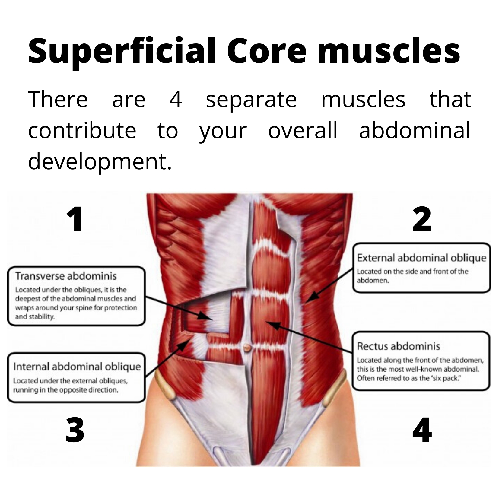 Reduce Low Back Pain With Strong Core