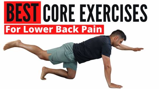 Best Core Exercises for Lower Back Pain (Chronic Lower Back Pain)