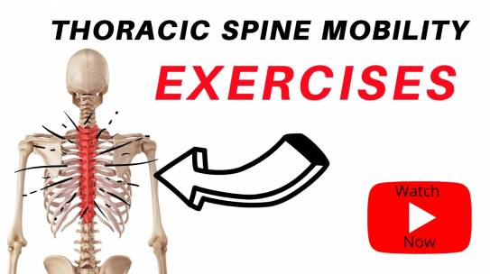 Thoracic Spine Mobility Exercises
