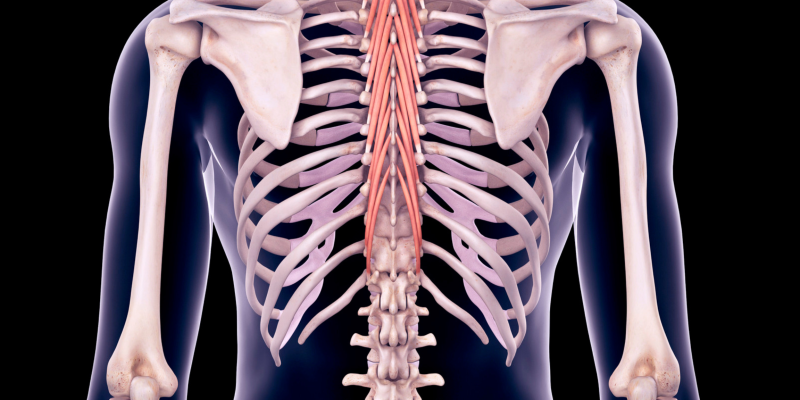 3 Exercise for thoracic mobility